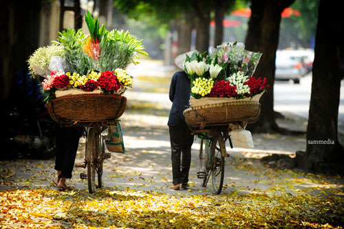 quan-quanh-ben-ganh-hang-rong-giadinhonline.vn 1