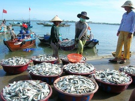 song-cuu-long-khoi-nguon-cua-nen-van-hoa-doc-dao-vung-song-nuoc-giadinhonline.vn 4