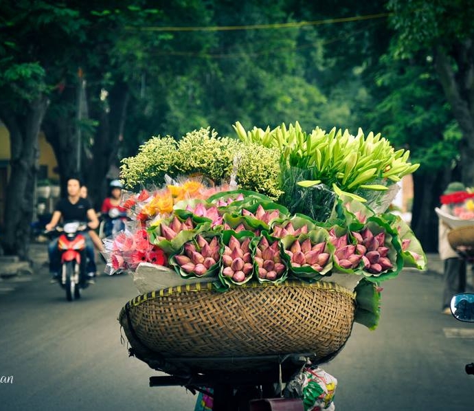 Hà Nội: Hà Nội - thủ đô của Việt Nam, là nơi hội tụ của văn hóa, lịch sử và hiện đại. Người ta thường lấy Hà Nội để so sánh với một nàng công chúa thanh lịch. Hà Nội chính là nơi tuyệt vời để khám phá và trải nghiệm văn hóa Việt Nam.