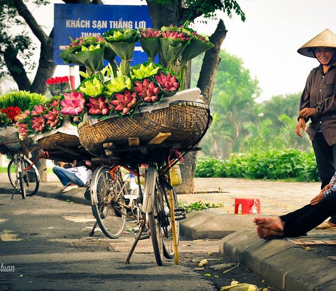 ganh-sen-tren-pho-net-dep-dac-trung-cua-ha-noi-giadinhonline.vn 2