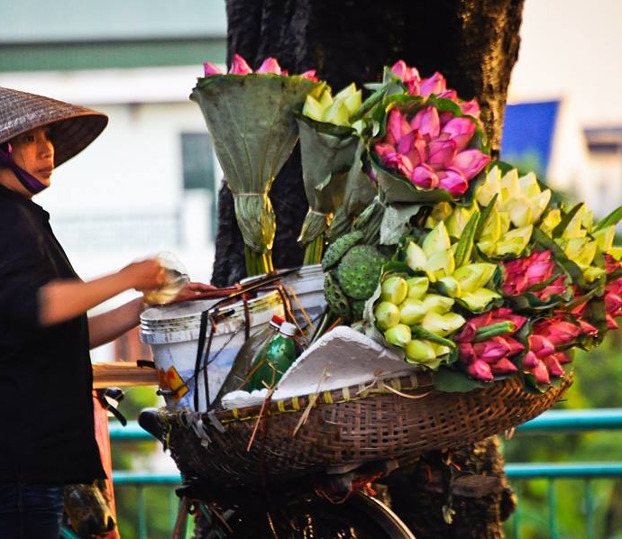 ganh-sen-tren-pho-net-dep-dac-trung-cua-ha-noi-giadinhonline.vn 7