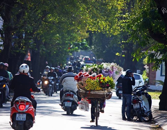 ganh-sen-tren-pho-net-dep-dac-trung-cua-ha-noi-giadinhonline.vn 8