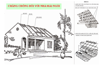 du-bao-bao-so-3-cach-phong-chong-tranh-thuong-vong-giadinhonline.vn 4