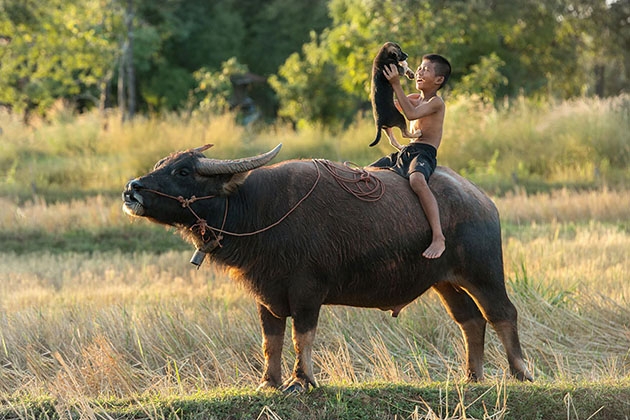 hinh-anh-tre-em-khap-the-gioi-choi-dua-hanh-phuc-2--giadinhonline.vn 3