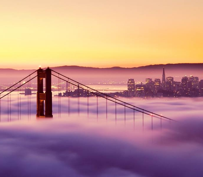 San Francisco - Nếu bạn yêu thích không gian đô thị và vẻ đẹp của công trình kiến trúc đương đại, hãy cùng tham quan các tòa nhà chọc trời và địa điểm du lịch nổi tiếng ở San Francisco. Hình ảnh về thành phố này chắc chắn sẽ khiến bạn tràn đầy cảm hứng.