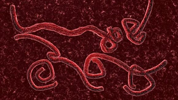 chua-co-ket-luan-cuoi-cung-ve-thuoc-chong-virus-ebola-giadinhonline.vn 1