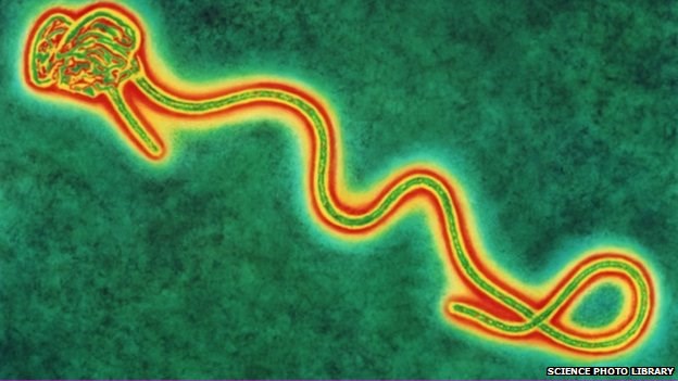 who-ban-bo-tinh-trang-khan-cap-quoc-te-vi-dai-dich-ebola-giadinhonline.vn 1