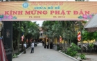 chua-dien-thoai-roi-xuong-nuoc-chi-voi-500-ngan-dong-giadinhonline.vn 4