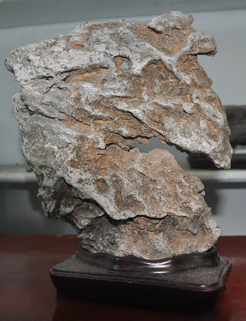 bo-suu-tap-da-canh-vo-gia-cua-di-nhan-tau-hoa-nhap-ma-giadinhonline.vn 7