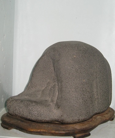 bo-suu-tap-da-canh-vo-gia-cua-di-nhan-tau-hoa-nhap-ma-giadinhonline.vn 16