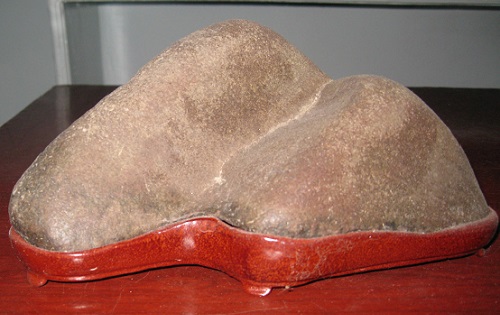 bo-suu-tap-da-canh-vo-gia-cua-di-nhan-tau-hoa-nhap-ma-giadinhonline.vn 20