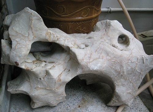bo-suu-tap-da-canh-vo-gia-cua-di-nhan-tau-hoa-nhap-ma-giadinhonline.vn 23