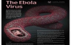 thu-tuong-gui-cong-dien-khan-phong-chong-dich-ebola-giadinhonline.vn 4