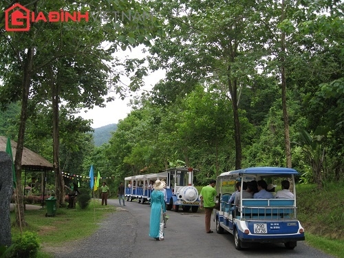 yang-bay-du-ky-12-di-tau-hoa-tren-rung-giadinhonline.vn 14