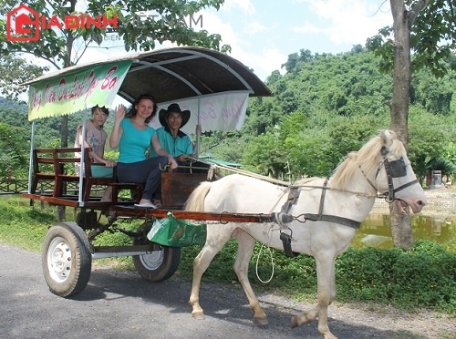 yang-bay-du-ky-12-di-tau-hoa-tren-rung-giadinhonline.vn 16