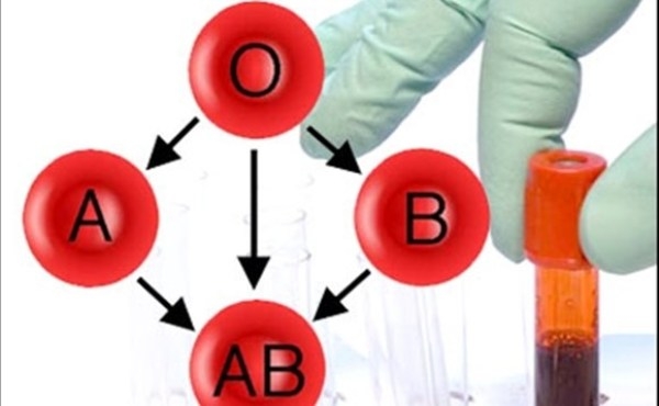 4-bi-an-ve-co-the-nguoi-chua-co-loi-dap-giadinhonline.vn 2