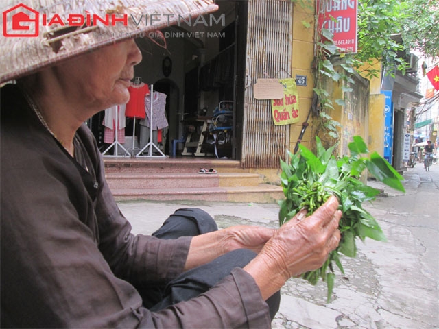 cu-ba-u80-ban-rau-7-con-khong-ai-nuoi-noi-me-giadinhonline.vn 3