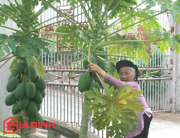 cu-ong-94-tuoi-tiet-lo-bi-mat-vo-chong-70-nam-khong-cai-nhau-giadinhonline.vn 2
