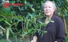 cu-ong-80-tuoi-lay-vo-sinh-con-chuyen-gia-noi-gi-giadinhonline.vn 2