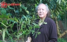 cu-ong-80-tuoi-lay-vo-sinh-con-chuyen-gia-noi-gi-giadinhonline.vn 5