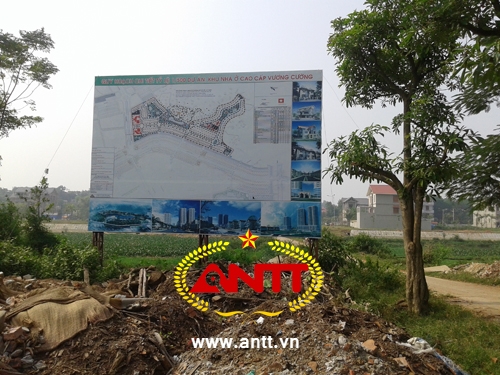 -du-an-1200-ty-cua-trum-sieu-xe-cuong-luxury-van-la-bai-dat-hoang-giadinhonline.vn 1