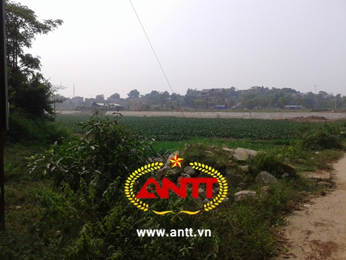 -du-an-1200-ty-cua-trum-sieu-xe-cuong-luxury-van-la-bai-dat-hoang-giadinhonline.vn 3