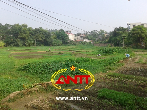 -du-an-1200-ty-cua-trum-sieu-xe-cuong-luxury-van-la-bai-dat-hoang-giadinhonline.vn 4