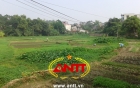 dinh-gia-dan-sieu-xe-tien-ty-trong-le-cuoi-thu-thuy--giadinhonline.vn 21