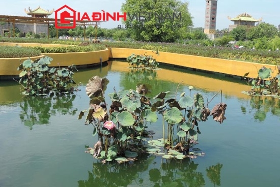 dai-nam-cua-ong-huynh-uy-dung-va-nhung-thong-diep-moi-giadinhonline.vn 15