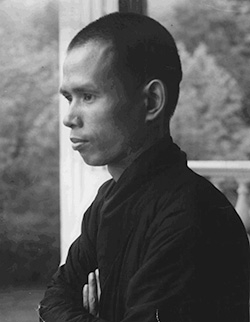 nhung-buc-hinh-thoi-tre-cua-thien-su-thich-nhat-hanh-giadinhonline.vn 3