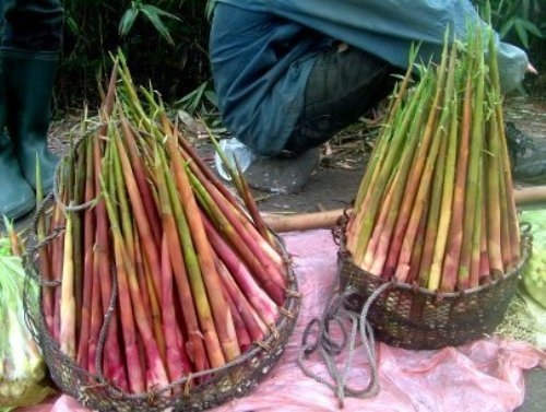 nhung-mon-dac-san-bac-kan-dung-nen-bo-lo-giadinhonline.vn 1