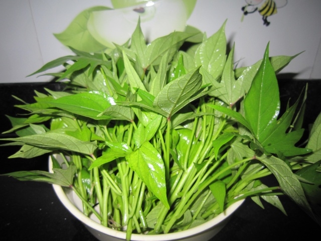 ba-bau-an-rau-khoai-lang-duoc-khong--giadinhonline.vn 2