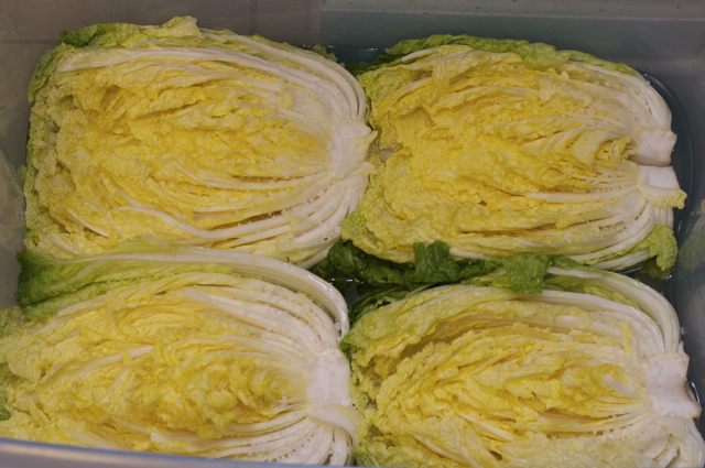 cach-lam-kim-chi-chuan-theo-huong-dan-cua-co-gai-han-quoc-giadinhonline.vn 9