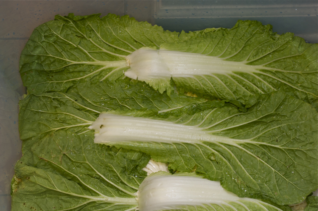 cach-lam-kim-chi-chuan-theo-huong-dan-cua-co-gai-han-quoc-giadinhonline.vn 10