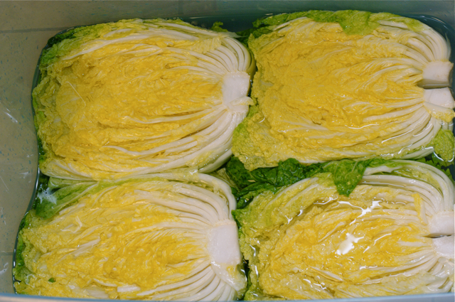 cach-lam-kim-chi-chuan-theo-huong-dan-cua-co-gai-han-quoc-giadinhonline.vn 11