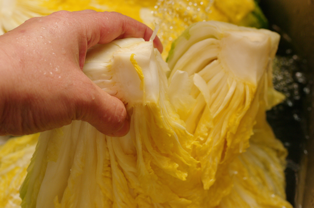 cach-lam-kim-chi-chuan-theo-huong-dan-cua-co-gai-han-quoc-giadinhonline.vn 15