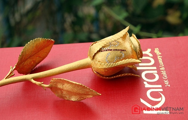 qua-tang-83-bong-hong-co-gia-250-trieu-dong-giadinhonline.vn 4