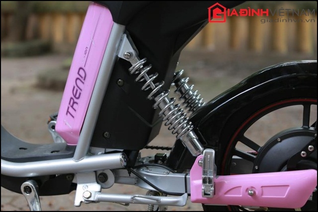 xe-dap-dien-quothan-quocquot-dang-tre-trung-gia-139-trieu-dong--giadinhonline.vn 3