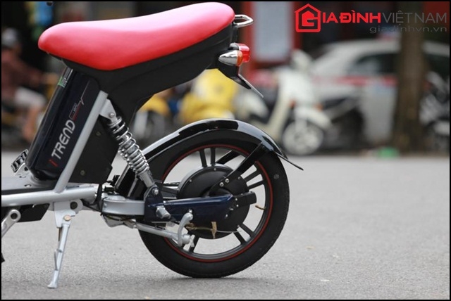 xe-dap-dien-quothan-quocquot-dang-tre-trung-gia-139-trieu-dong--giadinhonline.vn 5