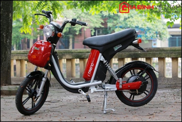 xe-dap-dien-quothan-quocquot-dang-tre-trung-gia-139-trieu-dong--giadinhonline.vn 10