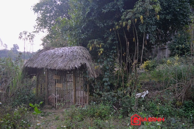 thac-si-ha-noi-tu-bo-cong-danh-di-tim-hang-niem-chu-giadinhonline.vn 1