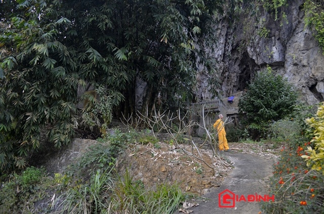 thac-si-bo-ha-noi-vao-hang-chuan-bi-san-mo-cho-minh-giadinhonline.vn 2