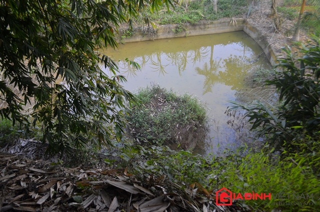 thac-si-bo-ha-noi-vao-hang-chuan-bi-san-mo-cho-minh-giadinhonline.vn 3