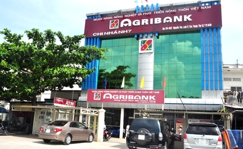 pho-giam-doc-agribank-chi-nhanh-tphcm-bi-bat-giadinhonline.vn 1