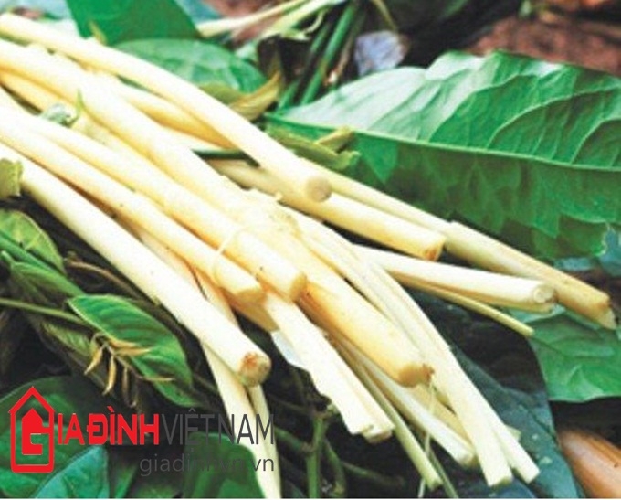 dac-sac-van-hoa-am-thuc-cua-nguoi-s’tieng-o-binh-phuoc-giadinhonline.vn 3
