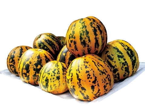 an-dua-bo-co-tot-khong-giadinhonline.vn 1