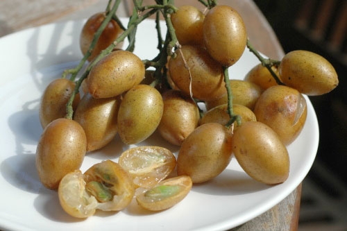 an-qua-hong-bi-co-tot-khong-giadinhonline.vn 1