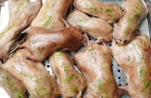 nhung-nguoi-khong-nen-an-thit-chuot--giadinhonline.vn 1