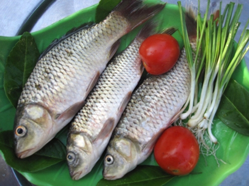 an-ca-chep-co-tot-khong--giadinhonline.vn 1