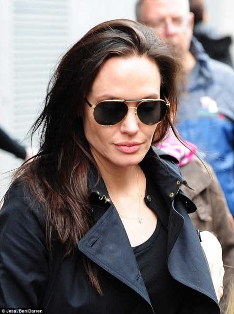 angelina-jolie-dua-con-di-xem-nhac-kich--giadinhonline.vn 9